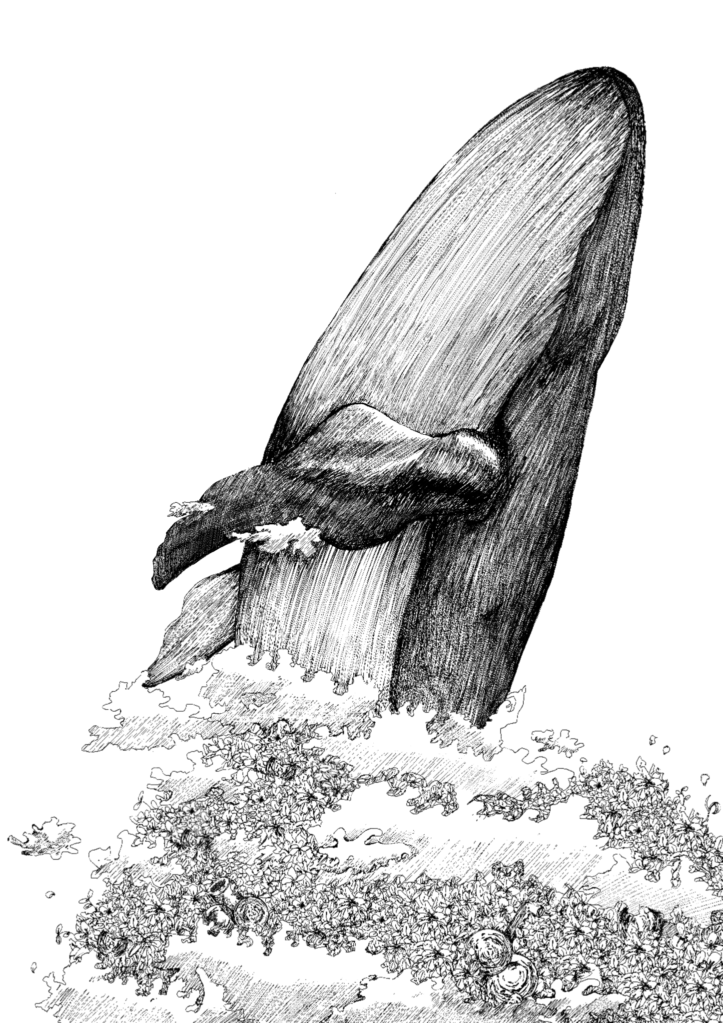 鯨イラスト