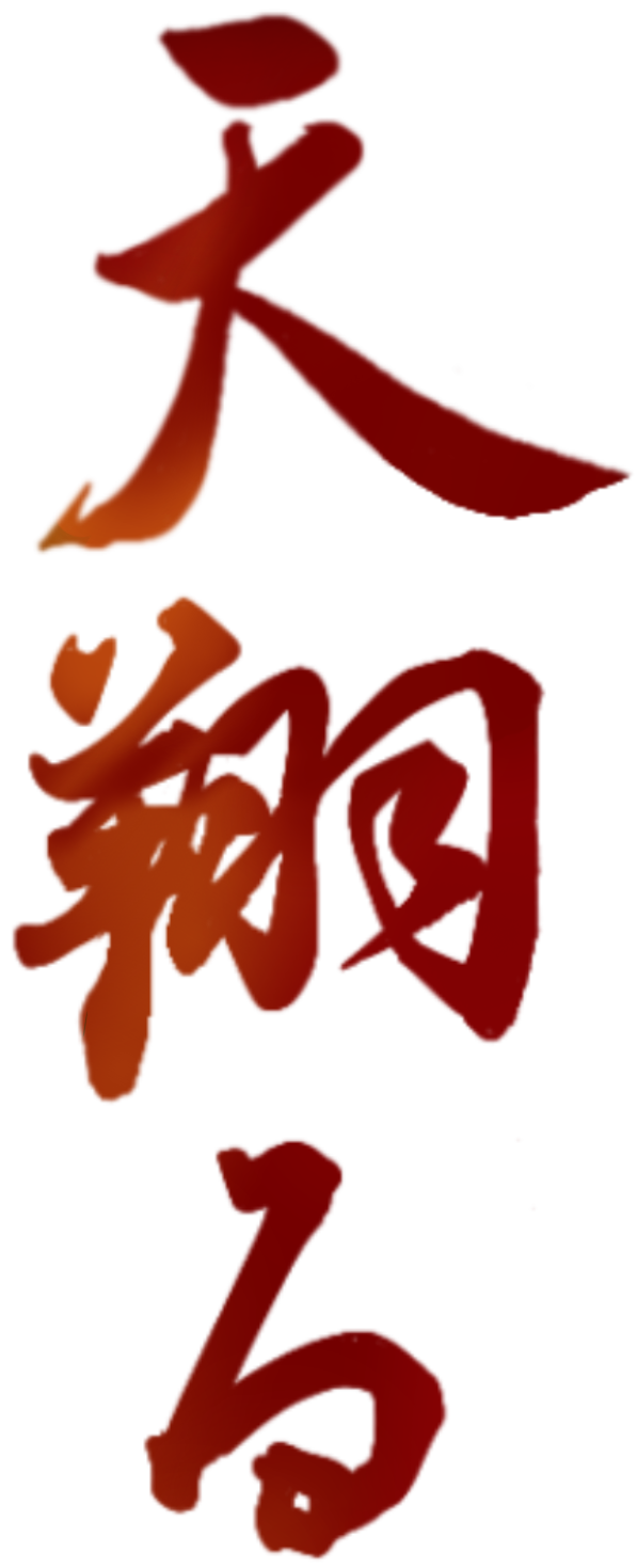 天翔る